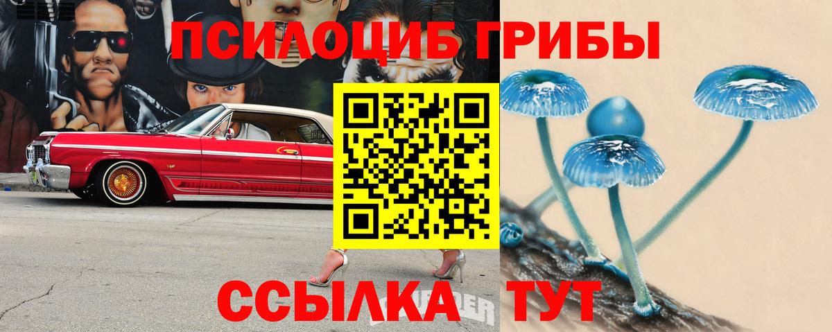 Ишимбай  Псилоцибиновые грибы мухоморы  Вход с VPN 