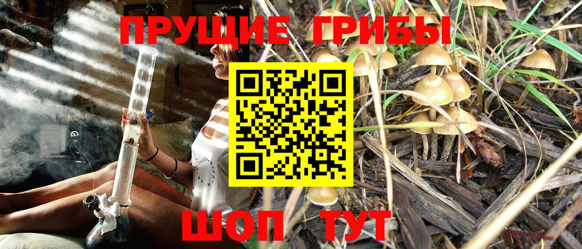 Псилоцибиновые грибы ЛСД Ишимбай